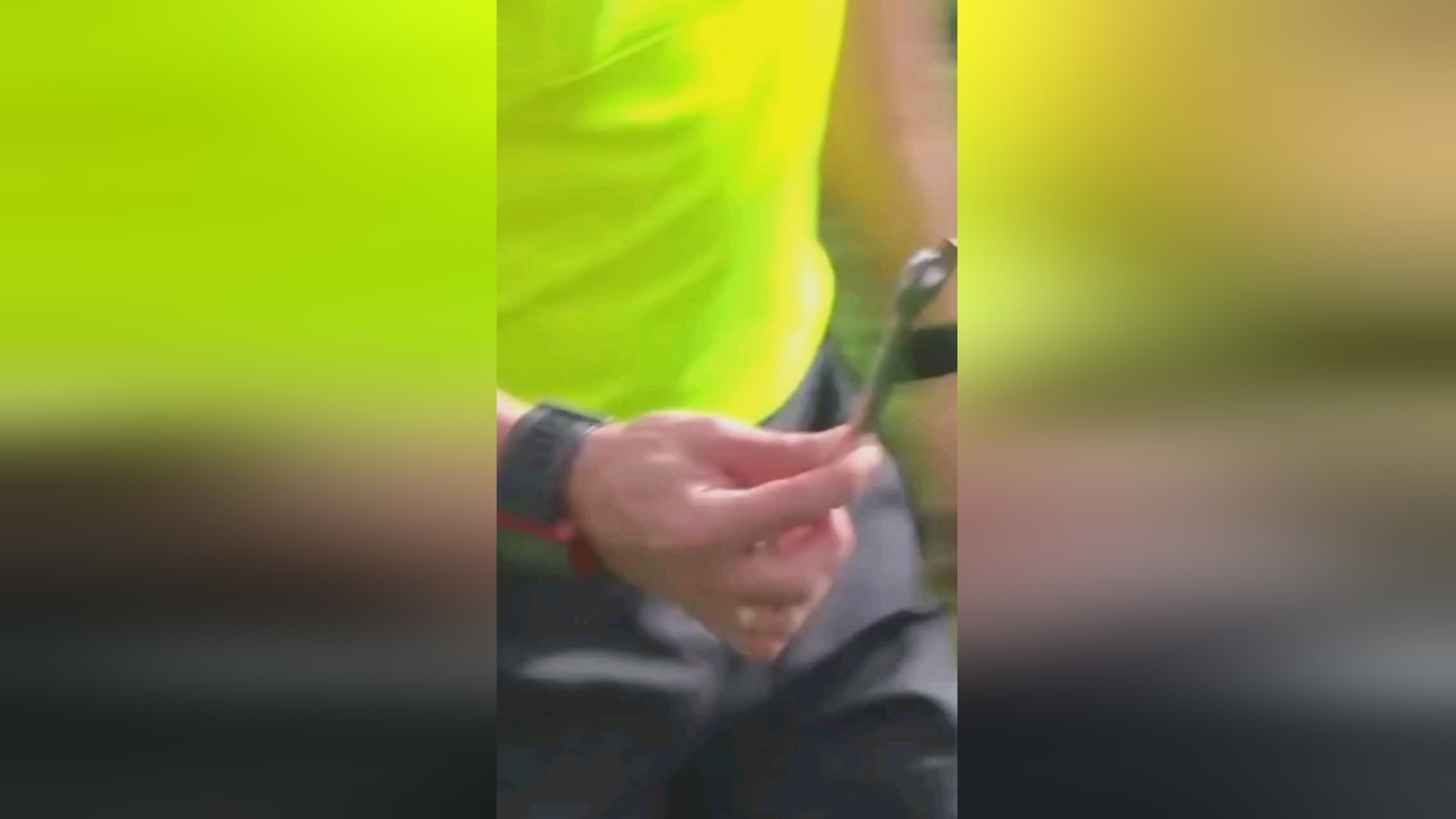 性随着新赛