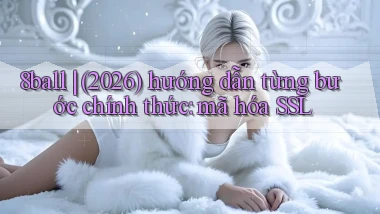 8ball (2026) hướng dẫn từng bước chính thức mã hóa SSL
