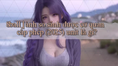 8ball ảnh so sánh được cơ quan cấp phép (2025) unit là gì