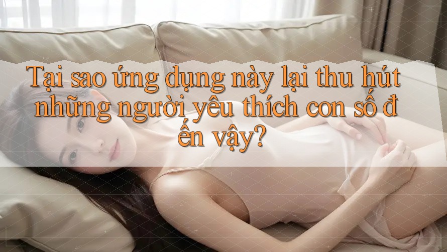 Tại sao ứng dụng này lại thu hút những người yêu thích con số đến vậy?