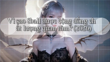 Vì sao 8ball được cộng đồng chất lượng quan tâm (2026)
